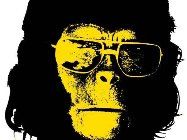 Abraham Ape Pic